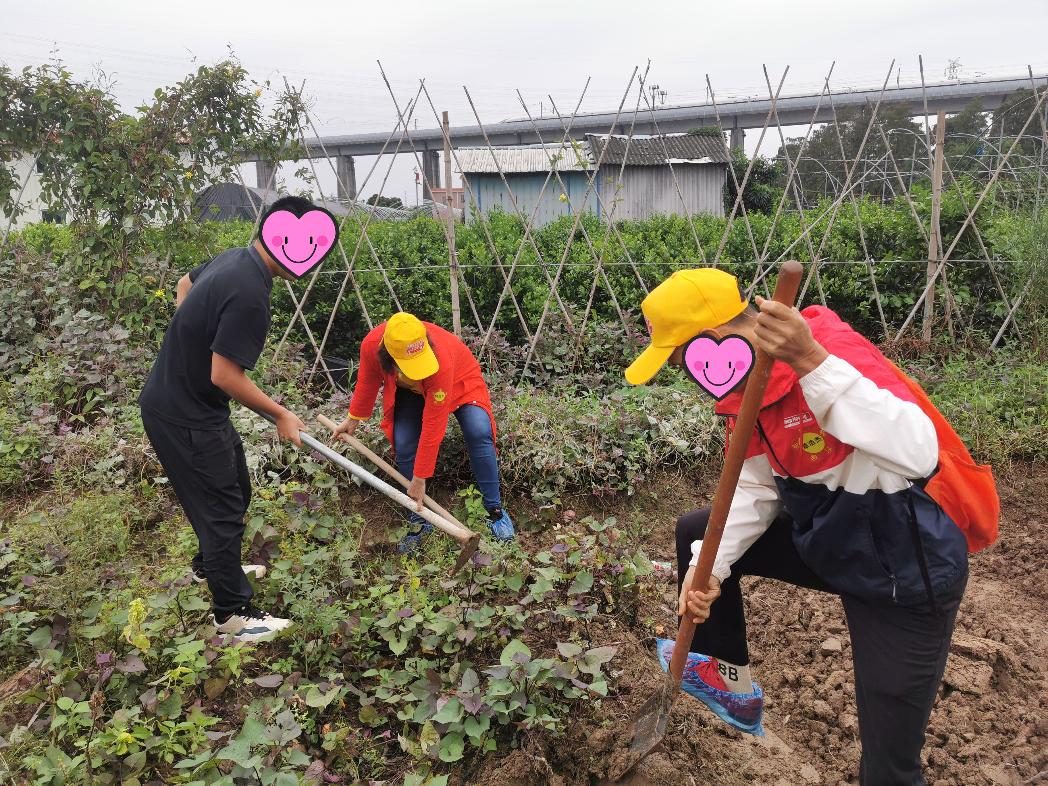 【活动回顾】广州南沙搭建“社工+”社区康复模式 助推精康融合