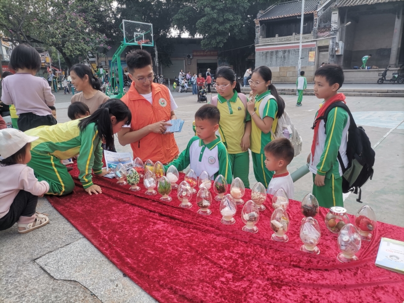 揭开禁毒伪装 护航青春成长——小谷围街开展禁毒宣传教育活动进穗石小学